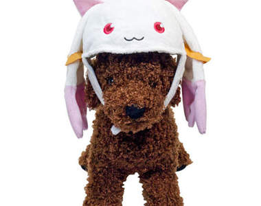 《魔法少女小圓》狗狗變裝 QB 夏洛特 