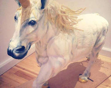 超逼真《獨角獸蛋糕》嚴禁小朋友一屁股騎上去...( 艸｀*)