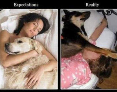 《幻想VS現實》之你和別人想的不一樣