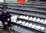 大陸《神人雪雕》竟然有草莓?! 大陸《神人雪雕》竟然有草莓?!