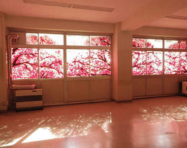 《窗戶上的櫻花》近距離看...會看到...