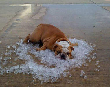 天氣熱到爆~如何應付爆熱的夏天才好？