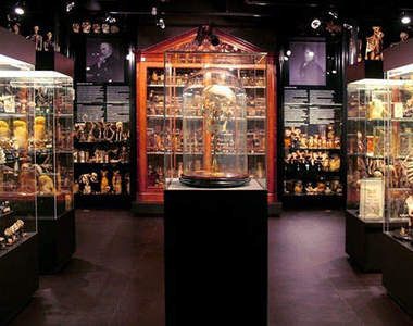 阿姆斯特丹《七大怪奇博物館》真不愧是荷蘭......(慎入)