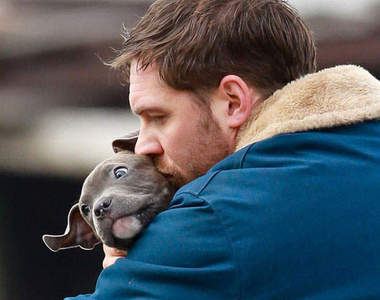 電影《動物救援》湯姆哈迪與狗狗的溫馨片場>3<