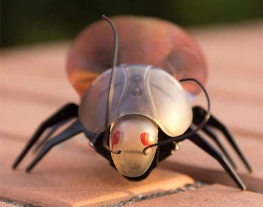 哀鳳遙控蟑螂　夏天極推薦送人的惡趣味產品