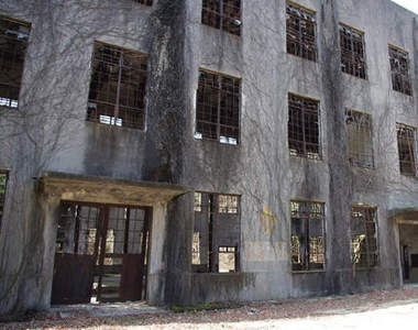 毒氣島　可愛兔島之前漸漸被人遺忘的過去