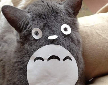 《吉卜力動畫》最佳領導者是娜烏西卡　最適合當戀人的竟然是...？