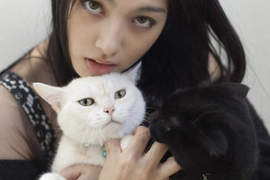 原紗央莉x松野井雅 再復出的她現在是位愛貓美女 原紗央莉x松野井雅 再復出的她現在是位愛貓美女