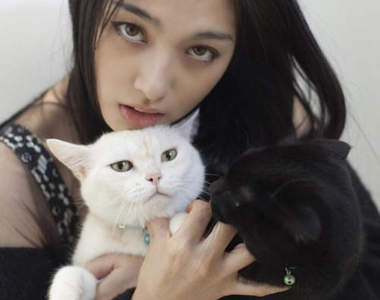原紗央莉x松野井雅 再復出的她現在是位愛貓美女
