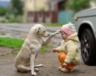 《小孩與寵物》這大概是世界上最純真的友誼了❤