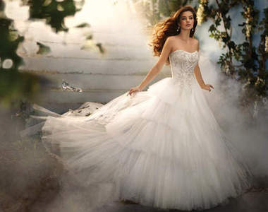 《迪士尼主題婚紗》那可以附贈王子嗎？（誤）