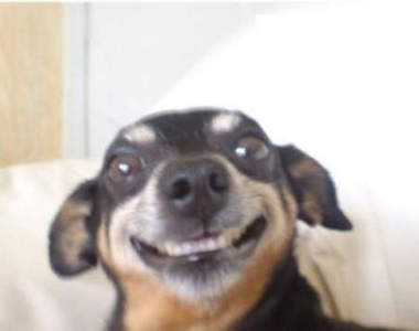 微博《十大錯覺體》大流行　也只能這樣安慰自己了～（憨笑）