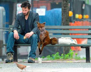 《爆紅狐狸》被惡搞  來看看俄羅斯的PS神人～