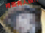 韓國《紙箱人頭》事件  這到底是要嚇死誰啦XDDD