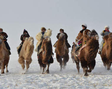 內蒙古節慶《冰雪那達慕》在零下34度賽駱駝