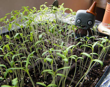 《植物大戰殭屍2》今夏到來?好歹也秀一點遊戲畫面嘛...