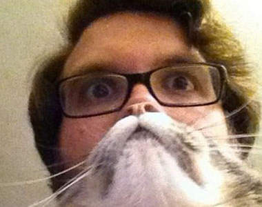 喵的！《貓鬍子》趕快抓住貓老大無誤