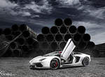 龍袍加身《Lamborghini Aventador》中東風情美照曝光~ 龍袍加身《Lamborghini Aventador》中東風情美照曝光~