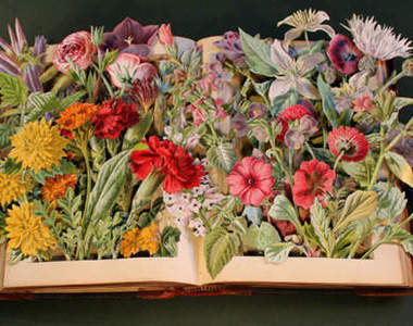 《3D書本雕刻》每本看起來都好精彩～