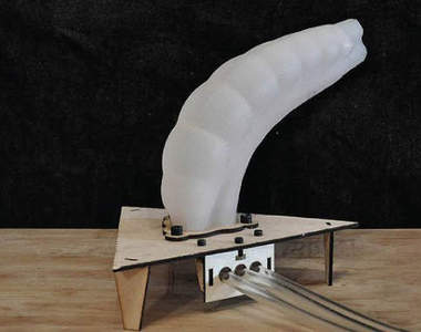 觸手機器人　謎之聲:請趕快實體化量產吧(膜拜)