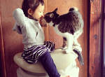 回顧2013《Instagram》寵物精選照片 回顧2013《Instagram》寵物精選照片