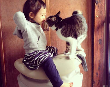 回顧2013《Instagram》寵物精選照片