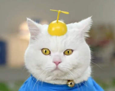 西班牙《真實版哆啦A夢》不是藍色的貓就是小叮噹吧XD