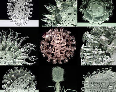 《美麗雕塑病菌》這些玻璃藝術品都是病毒唷(⊙o⊙)