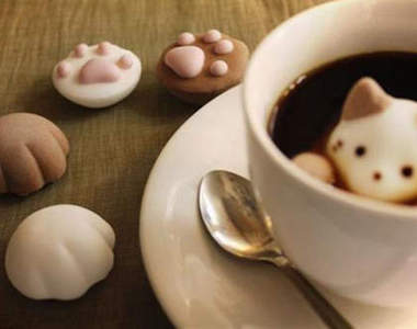 《貓的棉花糖》根本可愛的太邪惡…><