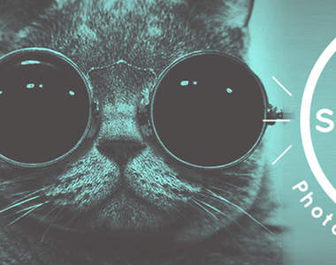 《Snapcat》貓咪自拍app 首先請多準備幾張螢幕保護貼…