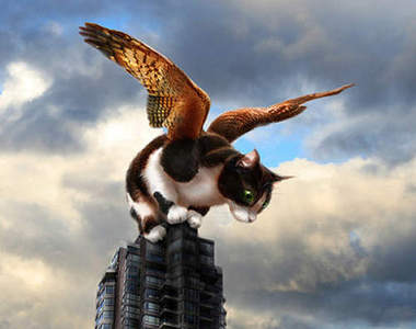 詭異《死貓死鳥直昇機》網友稱地獄默示錄藝術品