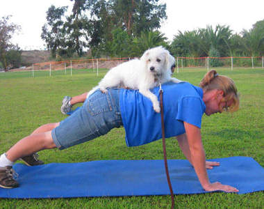 《動物也健身》為什麼動物是人類的好朋友(但有時候不是)