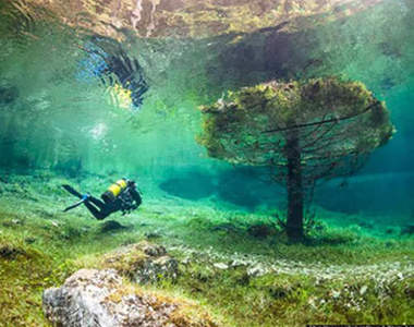 在奧地利《森林潛水》比夢境還美麗