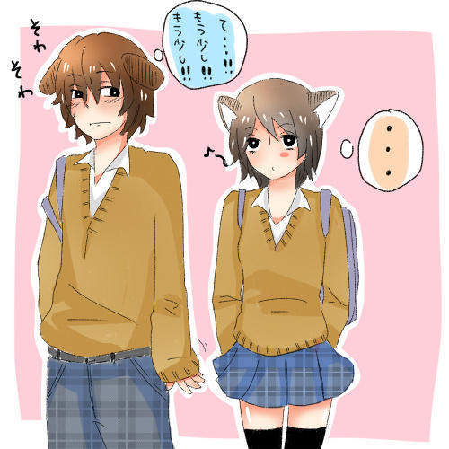 貓犬系情侶 難道這就是可愛情侶行為的終極版