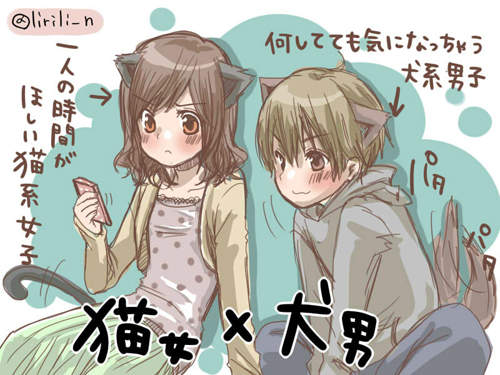 貓犬系情侶 難道這就是可愛情侶行為的終極版