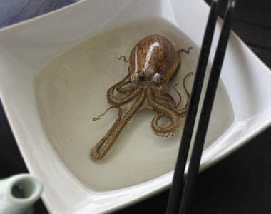 杯底不可飼金魚　這些都是畫出來的的趴兔