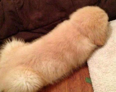 《生活巧合》有些根本是故意的吧～（拍桌笑）