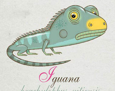 《Q版動物海報》小朋友應該不會誤會他們真的長這樣吧？