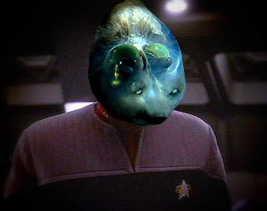 太平洋桶眼魚　花惹發!牠的頭部是透~明~滴．．．