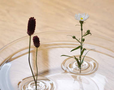 《漂浮花瓶》這下真的單戀一枝花了～