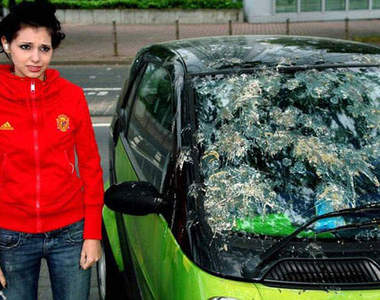 開車族請慎選停車位　要不然會受到鳥屎攻擊...T^T