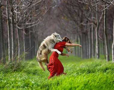 小紅帽與大野狼？愛大自然的攝影師Shlomi Nissim