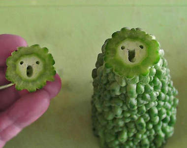 《波堤獅苦瓜》原來蔬菜切面這麼具療癒效果～♥