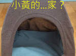 網友《自製狗窩》這到底是要給誰住的啦www? 網友《自製狗窩》這到底是要給誰住的啦www?