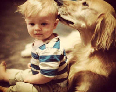 《願意為孩子付出一切的狗》這實在是太感人了T^T