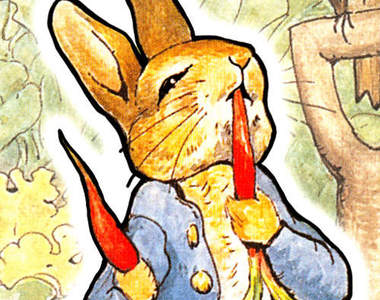 「彼得兔的爸爸他...」你一點都不想知道的小知識ᵔᴥᵔ 