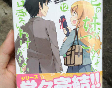 《俺妹結局》書迷們怒把書銷毀啦(激動)