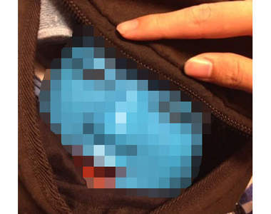 ∑(`∀゚´*)為什麼我包包裡會有這種東西!???