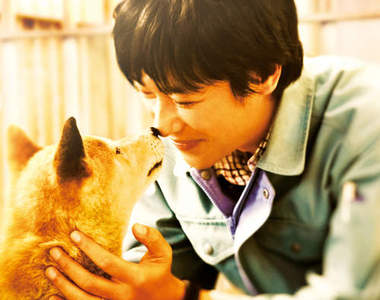 鹽臉男子之後的《人情男子》今年絕對大注目的型男類型