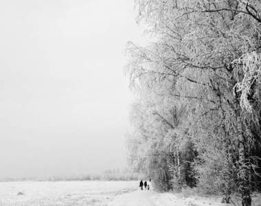 2012年度「手機攝影獎」出爐 每張都超美的手機藝術照～